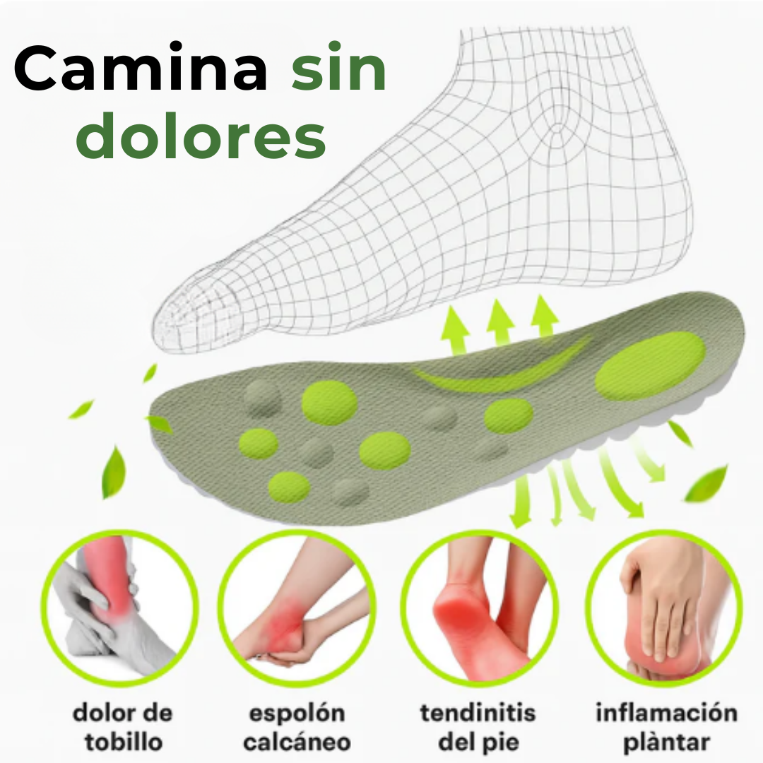 Plantillas con Amortiguación Cloud 4D