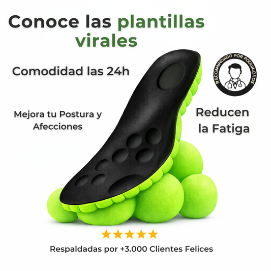 Plantillas con Amortiguación Cloud 4D