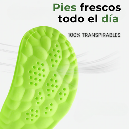 Plantillas con Amortiguación Cloud 4D