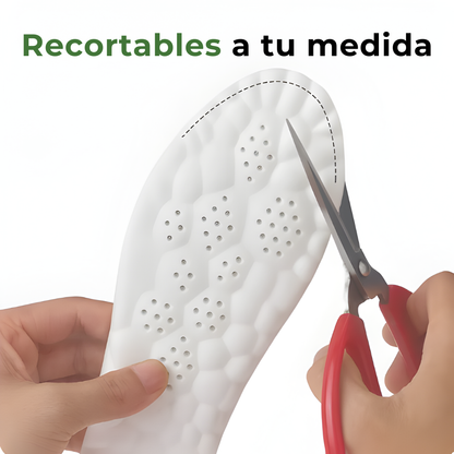 Plantillas con Amortiguación Cloud 4D